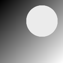 Input grayscale image