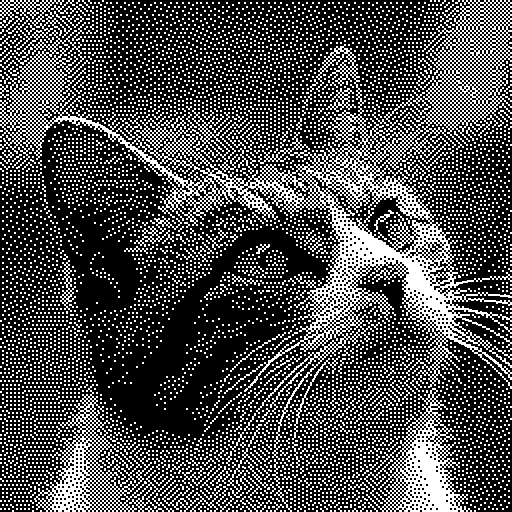 Clustered-dot halftone of the photo